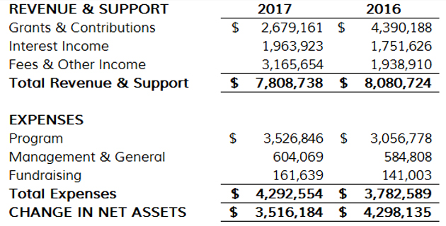 Statement Activities 2017