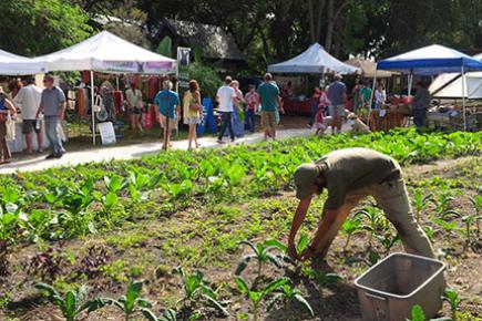 Sweetwater Organic Community Farm offers organic produce and community education.
